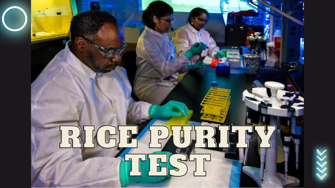 Rice Purity Test